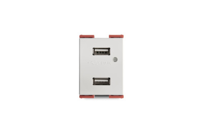 2 Gang USB 36MM