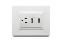 Combination 1 USB Port + 1 Outlet American 2P+E