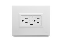 2 Gang Smart American Outlet 2P+E