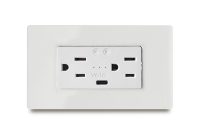2 Gang Smart American Outlet 2P+E