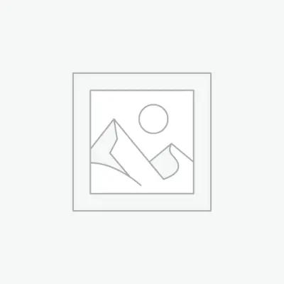 Wall Plate Hole Cover